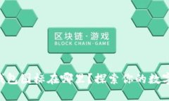 苹果版TP钱包图标在哪里？