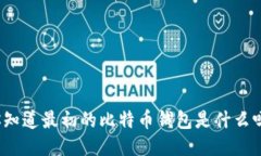 你知道最初的比特币钱包