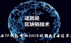 如何防止TP钱包中的SHIB被