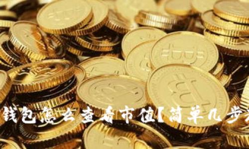 想知道tp钱包怎么查看市值？简单几步教你搞定！