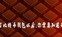 有了比特币钱包以后，你需要知道的事