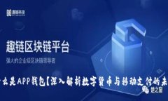什么是APP钱包？深入解析