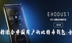 如何选择适合中国用户的比特币钱包：全面指南