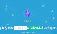 tp钱包数据恢复指南：如何找回丢失的钱包信息