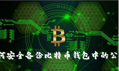 如何安全备份比特币钱包中的公钥？